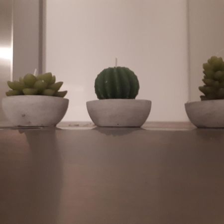 דירות לה ספציה Ca Rossi City House מראה חיצוני תמונה