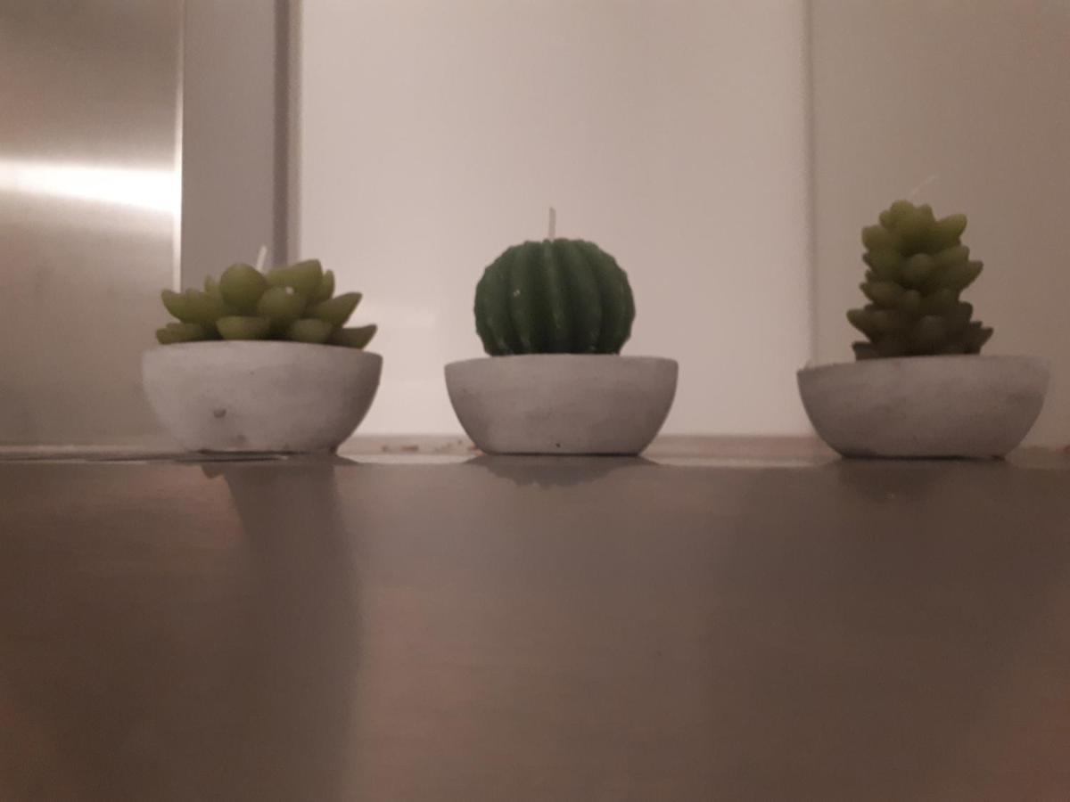 דירות לה ספציה Ca Rossi City House מראה חיצוני תמונה